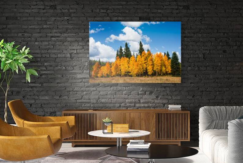 Fall Aspen by Prairie Wind Imagery