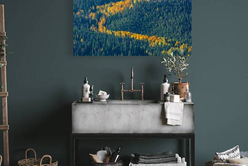 Stroke Of Color by Prairie Wind Imagery