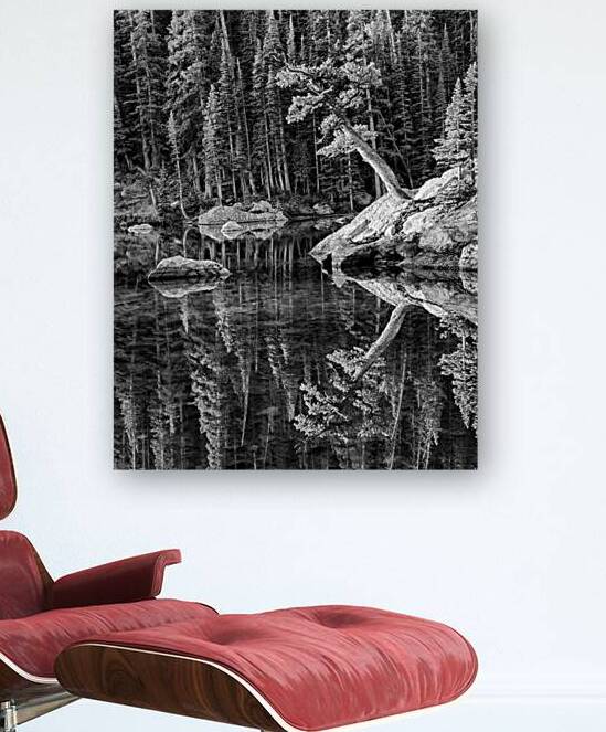 Reflecting Pine B W by Prairie Wind Imagery