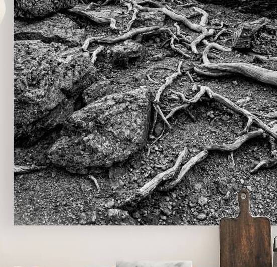 Network B W by Prairie Wind Imagery