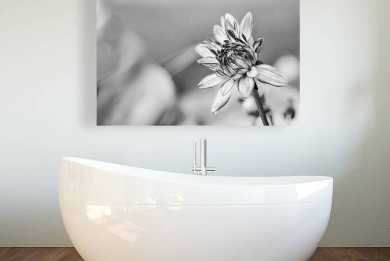 A Dahlia Bud in BW by Prairie Wind Imagery
