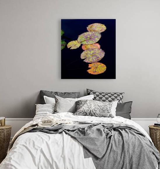 Lily Pads by Prairie Wind Imagery