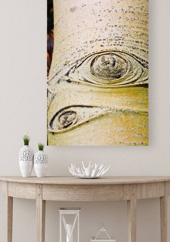Aspen Eyes by Prairie Wind Imagery
