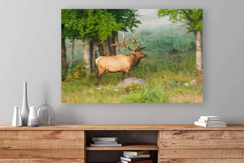 Bull Elk In Motion by Prairie Wind Imagery