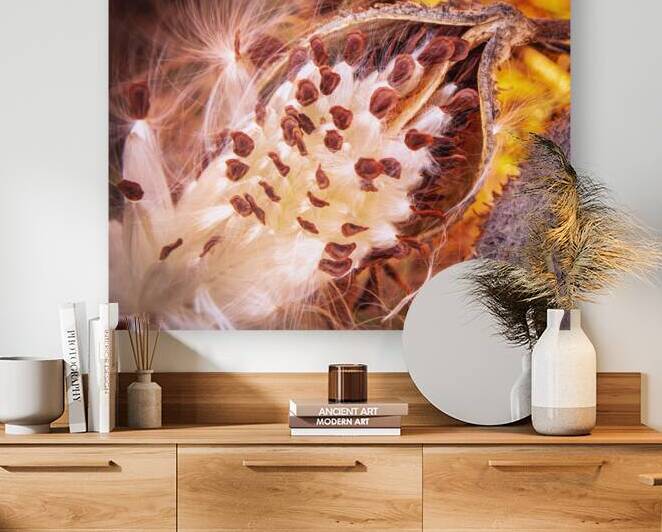 Ready For Release by Prairie Wind Imagery