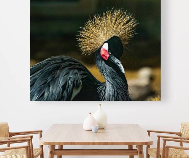Crowned Crane by Prairie Wind Imagery