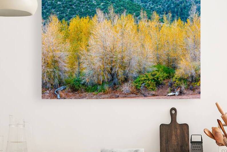 Riverbank Gold by Prairie Wind Imagery