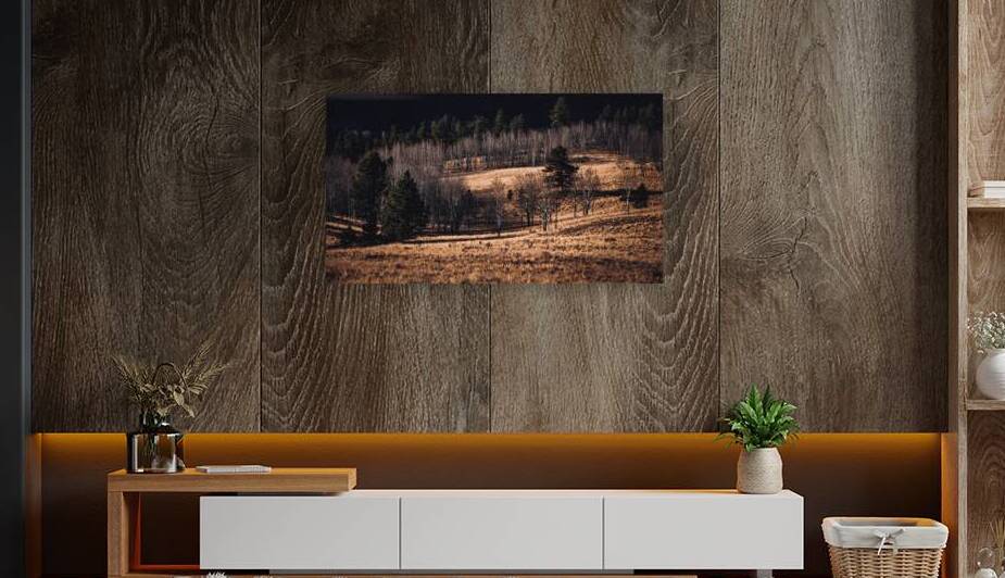 Late Autumn Colorado Meadow by Prairie Wind Imagery