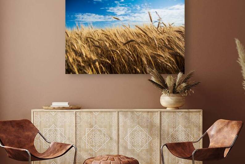 Golden Waves Of Grain by Prairie Wind Imagery