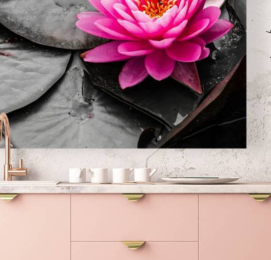 Pink Waterlily by Prairie Wind Imagery