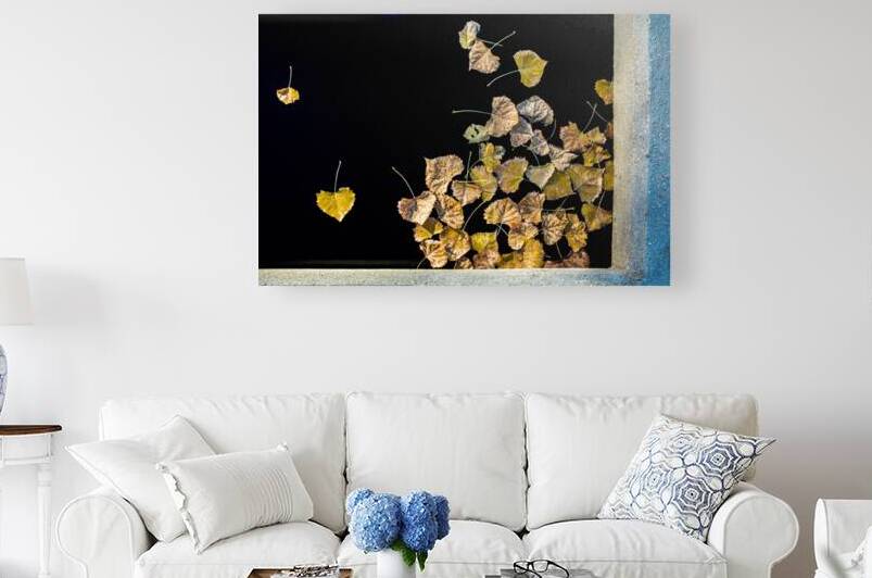 Floating Leaves by Prairie Wind Imagery