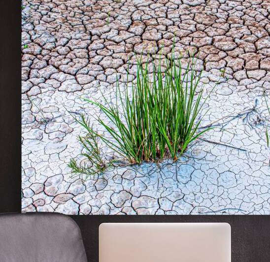 Parched by Prairie Wind Imagery