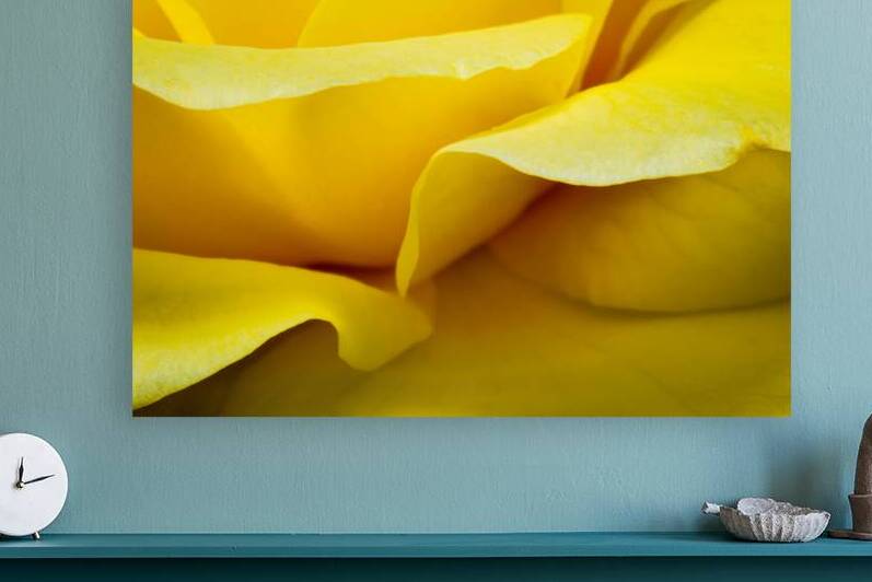 Edge of a Rose by Prairie Wind Imagery