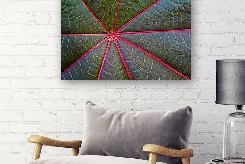 Convergence by Prairie Wind Imagery