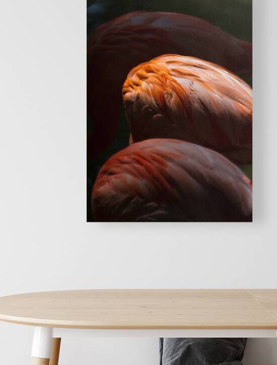 Flamingo Lighting by Prairie Wind Imagery