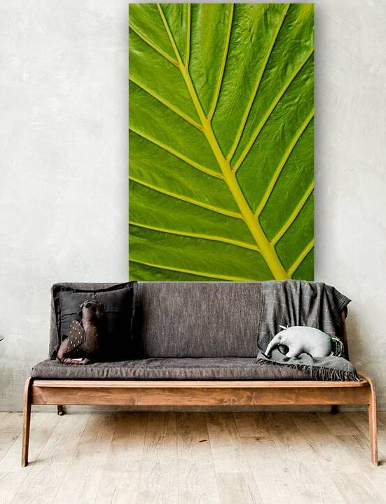 Tropical Ribs by Prairie Wind Imagery
