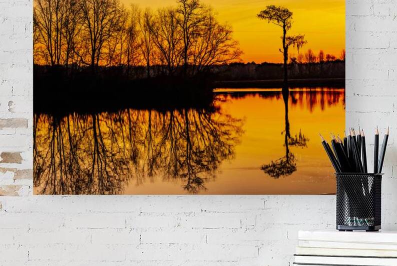 Vivid Florida Sunrise by Prairie Wind Imagery