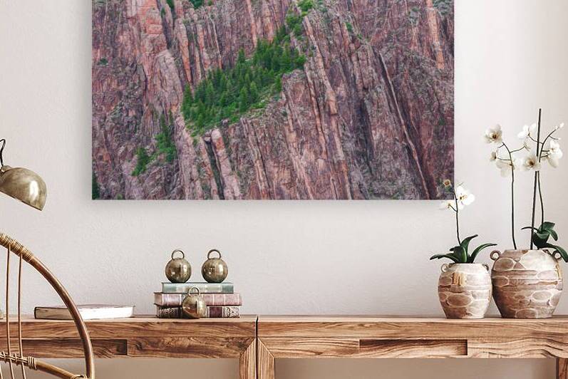 A Rock Wall Forest by Prairie Wind Imagery