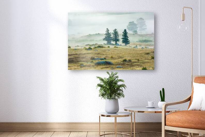 Trees In The Mist by Prairie Wind Imagery