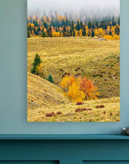 An Abundance of Color by Prairie Wind Imagery