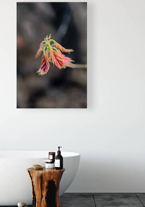 Emerging by Prairie Wind Imagery