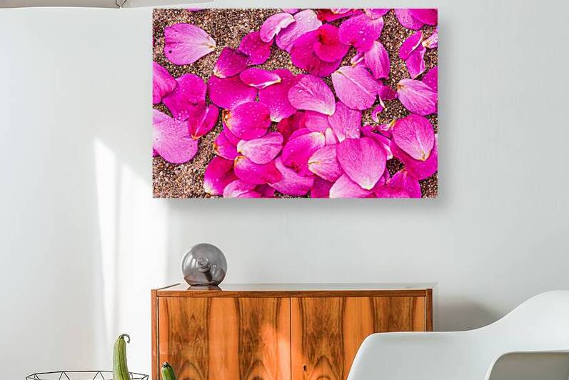 Fallen Petals by Prairie Wind Imagery