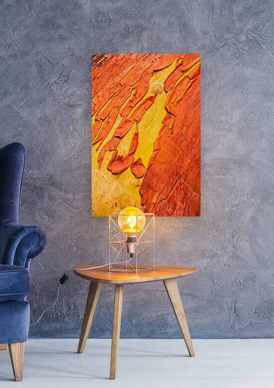Madrone Tree Bark by Prairie Wind Imagery