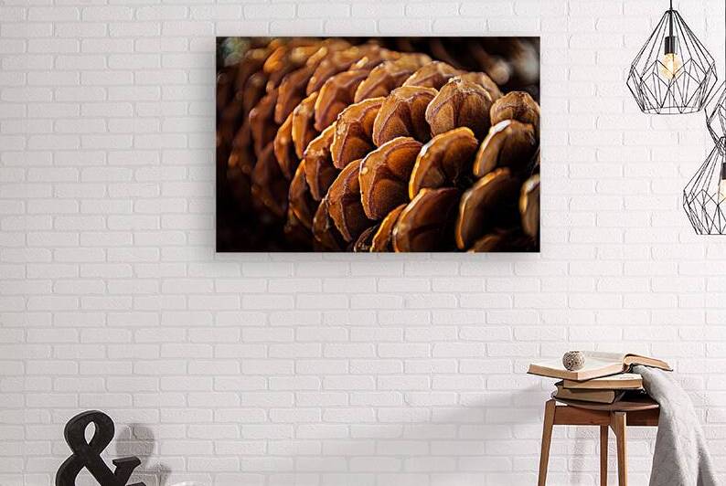 Pine Shingles by Prairie Wind Imagery