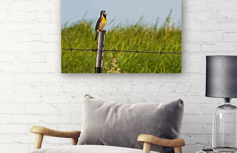 Prairie Song by Prairie Wind Imagery