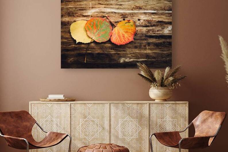 Three Aspen Leaves On Dark Wood by Prairie Wind Imagery