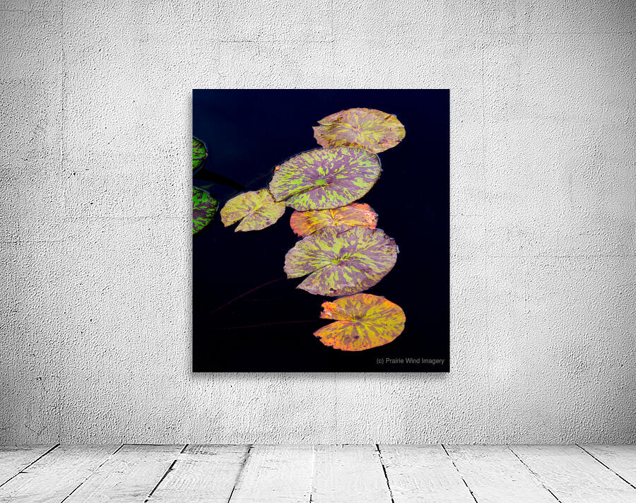 Lily Pads Wall Preview