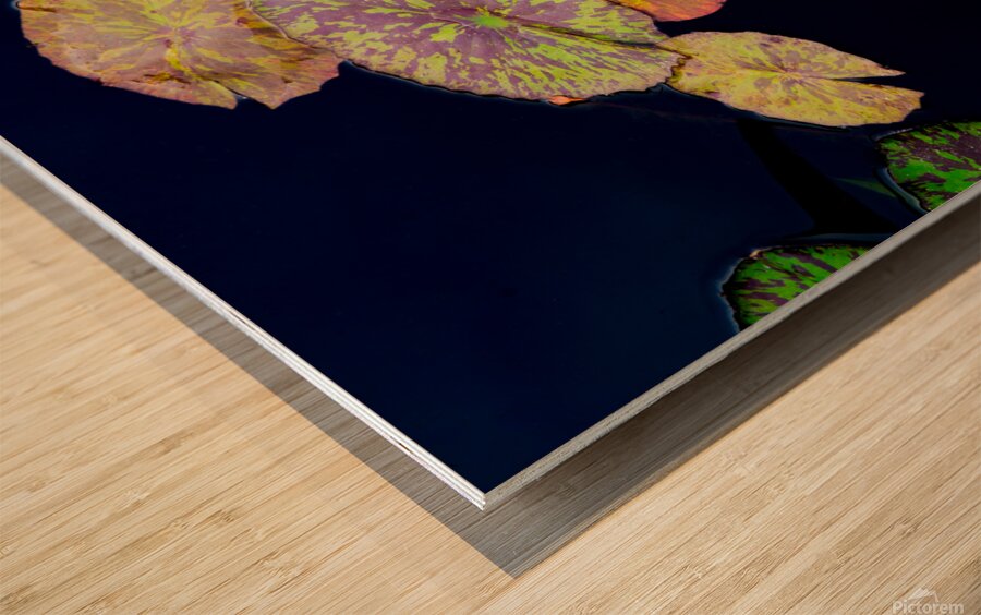 Lily Pads Wood print