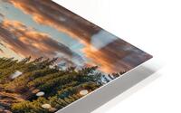 Acadian Amber HD Metal print