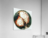 Yggdrasil Acrylic Print