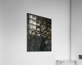 Untitled Acrylic Print