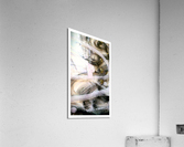 Solve it solvent solved Acrylic Print