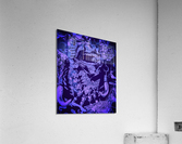 Entrapment Acrylic Print