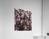 Fragmented reality Acrylic Print