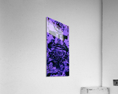 Untitled Acrylic Print