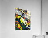 Untitled Acrylic Print