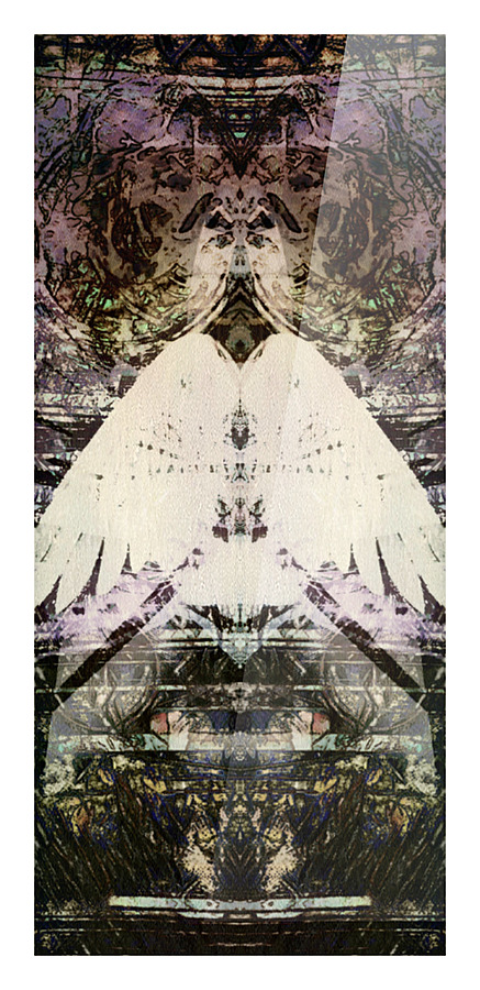 Ascendant Picture Frame print