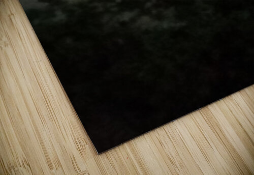 One sleepless night Panda s Playground puzzle