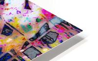 Crazy Cat Lady Boy HD Metal print