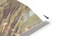 Izanagi HD Metal print