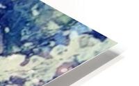 Underwater Dwelling HD Metal print