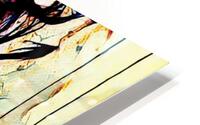Urbn Rnwl HD Metal print