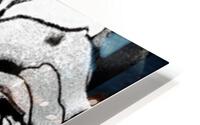 Help me HD Metal print