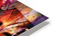 Fei Shue HD Metal print