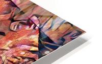 Sangoma HD Metal print
