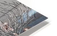 Five Fingers Mountain HD Metal print
